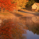 Illustration for article titled Fall Canceled After 3 Billion Seasons